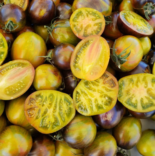 A harvest of Atomic Fusion Tomatoes by Wild boar Farms, Ranging from yellows to reds