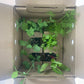 Organic Green Butter Lettuce