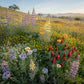 Peaceful Valley Almond Pollinator Mix (lb) PV Drop Ship