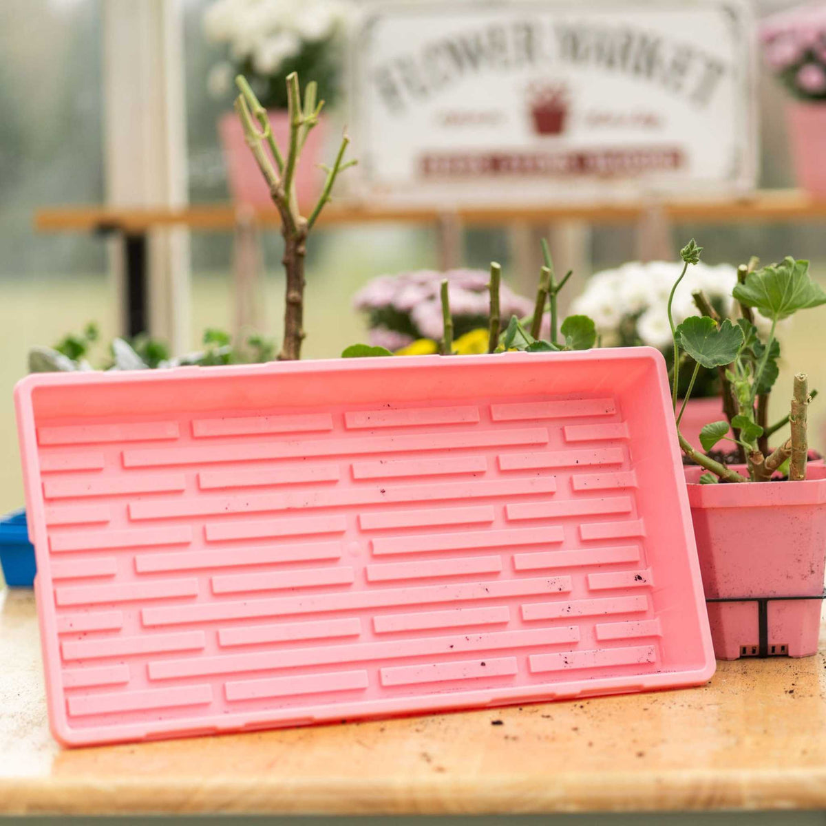 1020 Extra Strength Trays - Colors Bootstrap Farmer