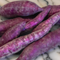 Purple Profusion Sweet Potato Slips