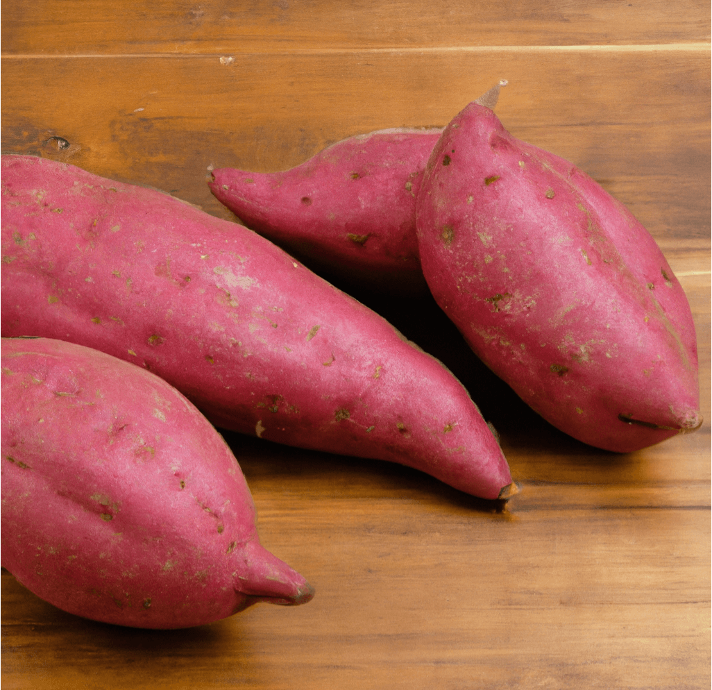 Red Japanese Sweet Potato Slips