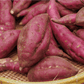 Red Japanese Sweet Potato Slips