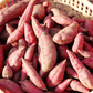 Red Japanese Sweet Potato Slips