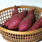 Red Japanese Sweet Potato Slips