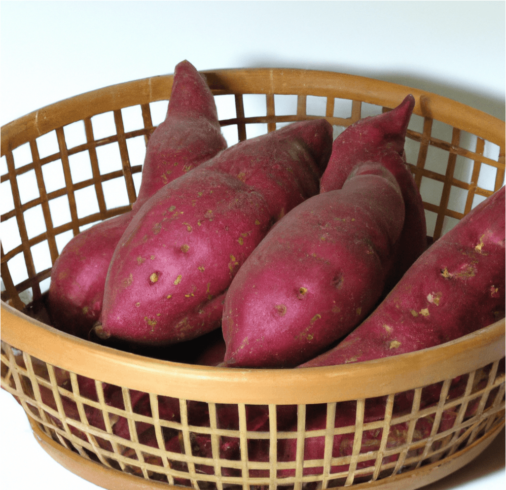 Red Japanese Sweet Potato Slips