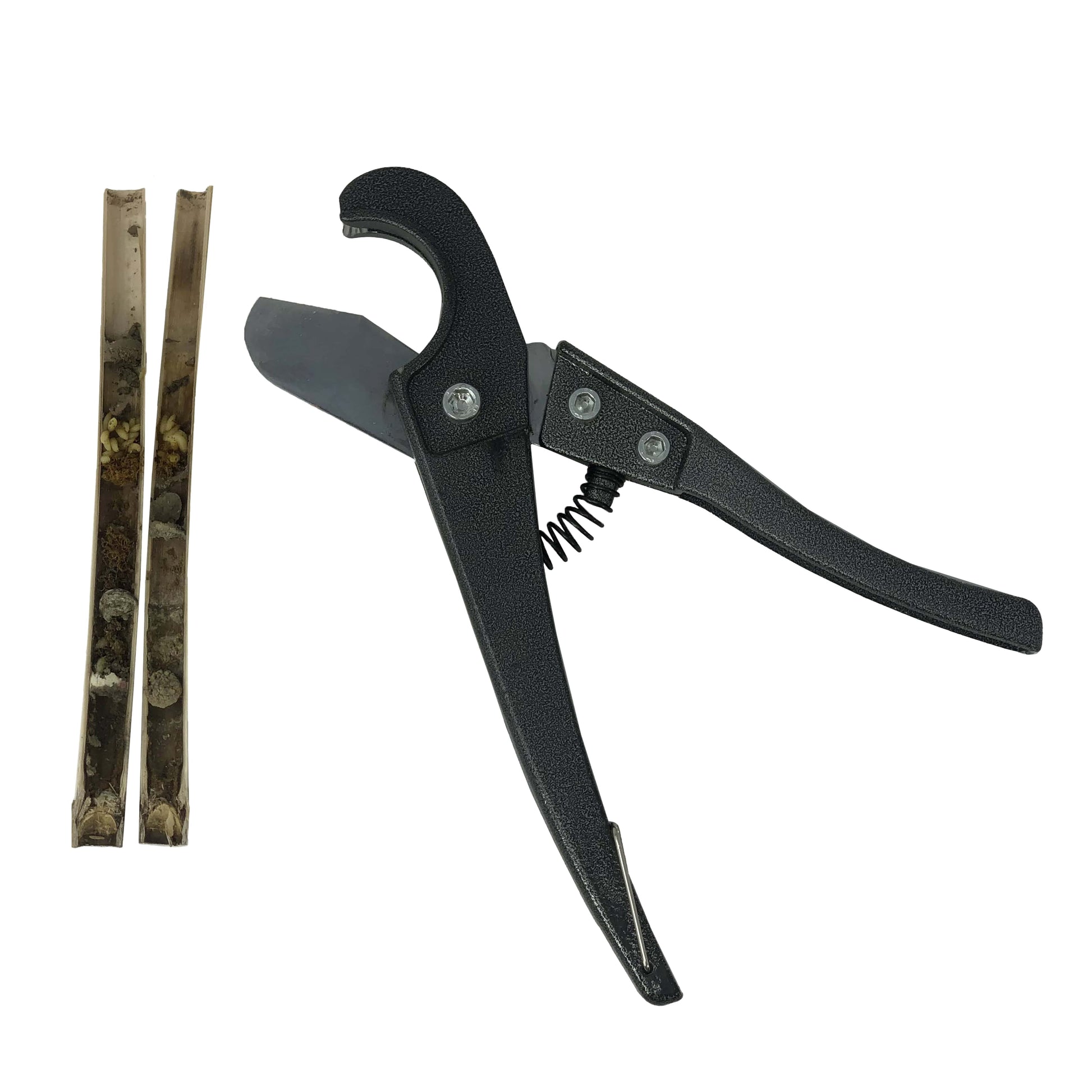 Reed Splitter CrownBees