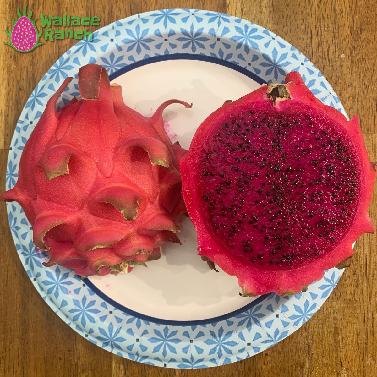 Wallace Ranch Bundle Wallace Ranch Dragon Fruit