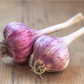 Conventionally Grown Garlic, Russian Red (lb)
