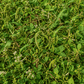 Peaceful Valley Summer Soil & Wildlife Mix - Raw Seed Grow Organic