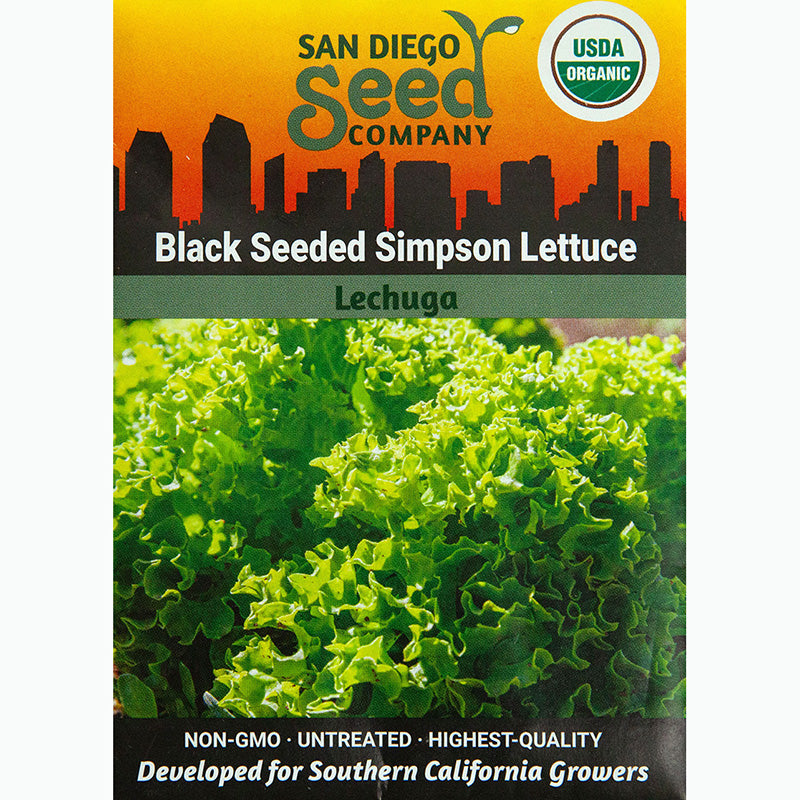 Seed Pack For Black Seeded Simpson Lettuce By San Diego Seed Company