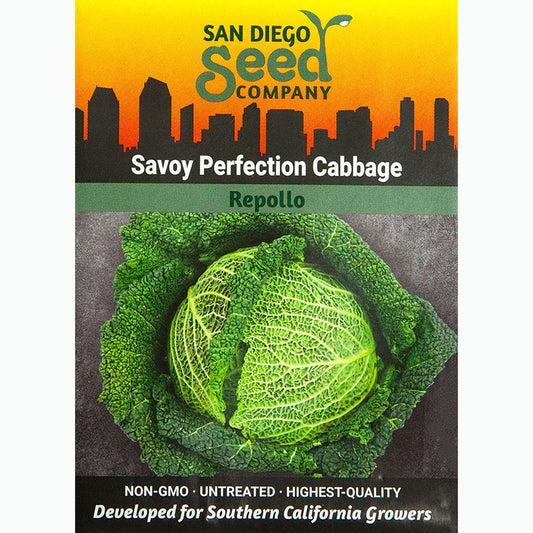 Seed Pack For Savoy Perfection Cabbage By San Diego Seed Company 