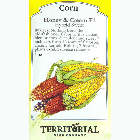 Seed Pack For Honey & Cream F1 Corn By Territorial Seed Company 