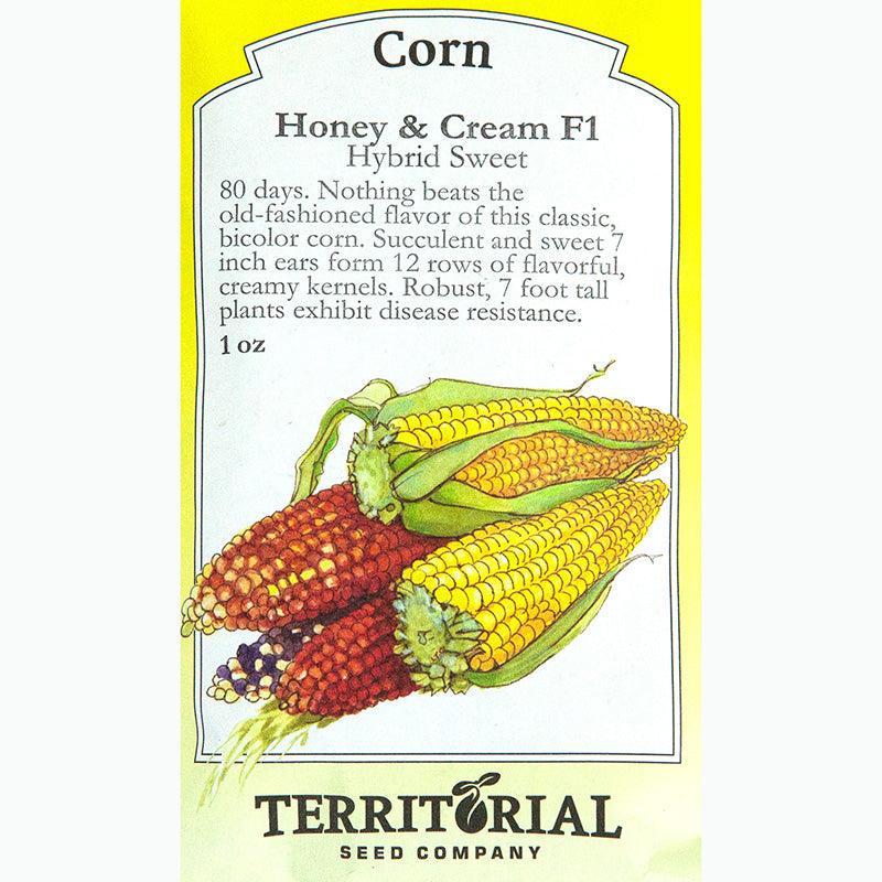 Seed Pack For Honey & Cream F1 Corn By Territorial Seed Company 