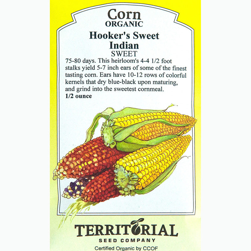Seed Pack For Hooker's Sweet Indian Corn By Territorial Seed Company