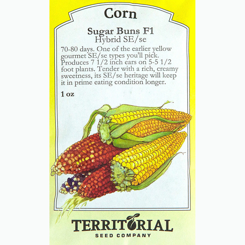 Seed Pack For Sugar Buns F1 Corn By Territorial Seed Company 