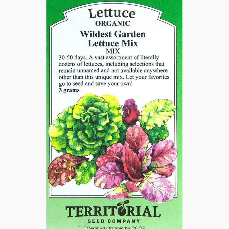 Seed Pack For Wildest Garden Lettuce Mix By Territorial Seed Company