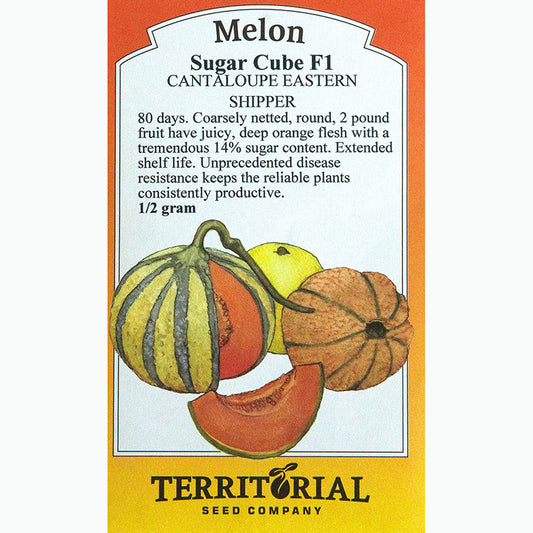 Seed Pack For Sugar Cube F1 Melons By Territorial Seed Company