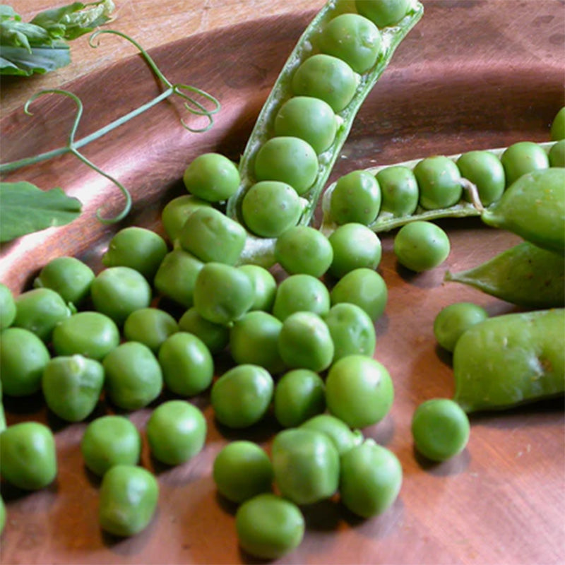 Up close shot of two split pea pods accentuating their loose peas on a wooden bowl 