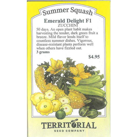 Seed Pack For Emerald Delight F1 Zucchini By Territorial Seed Company 
