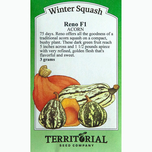 Seed Pack For Reno F1 Acorn Winter Squash By Territorial Seed Company 