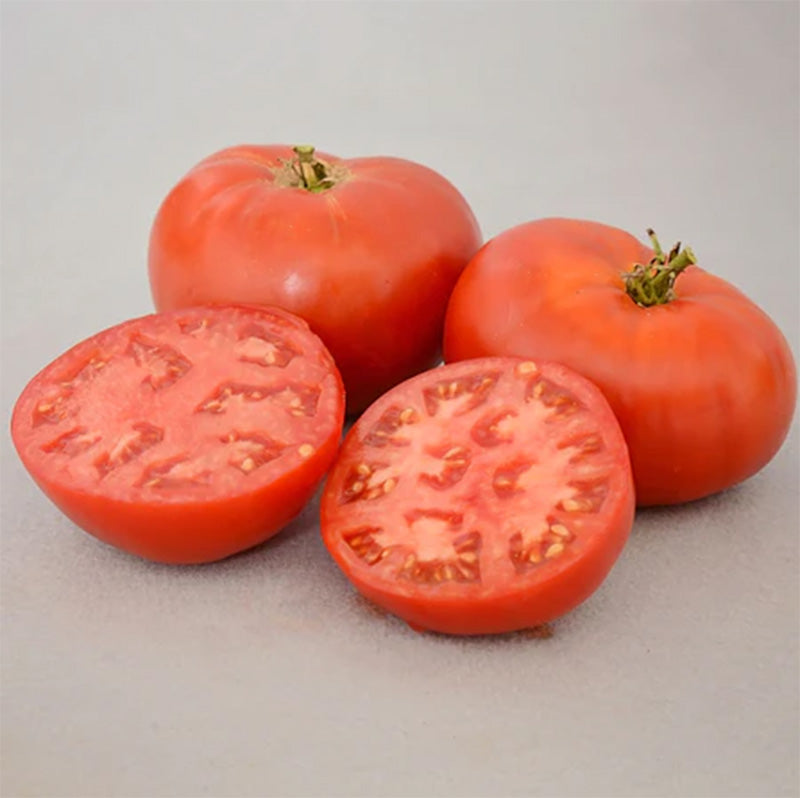 Three Carmello tomatoes, One is halved and displayed in front of the others 