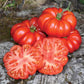 Costoluto Fiorentino Tomatoes displaying a ribbed quality and bright vibrant reds, One is halved and presenting 