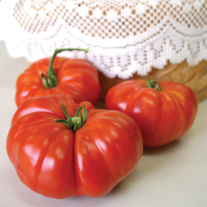 Three Grandmas Pick Tomatoes, displayed against a white doily 