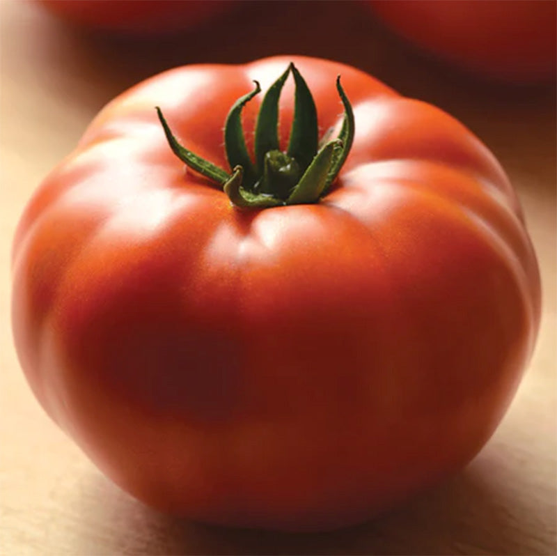 A very close up shot of a HM Genuwine Tomato, light reflecting of its bright red skin 