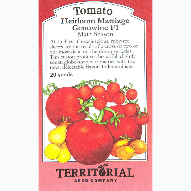 Seed Pack For Heirloom Marriage Genuwine F1 Tomatoes By Territorial Seed Company 