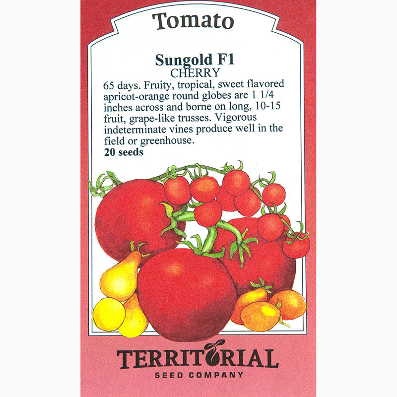 Seed Pack For Sungold F1 Cherry Tomatoes By Territorial Seed Company 