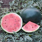 A halved and quartered Blacktail Mountain watermelon, displayed in front of a still growing vine 