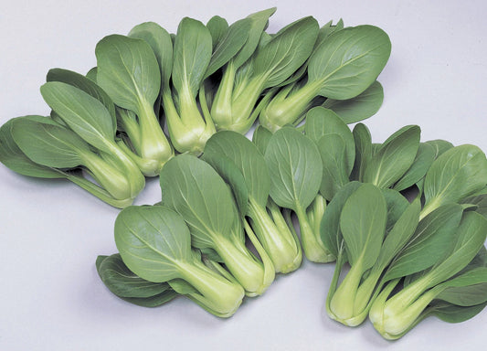 Pak Choi Li Ren Choi Seeds