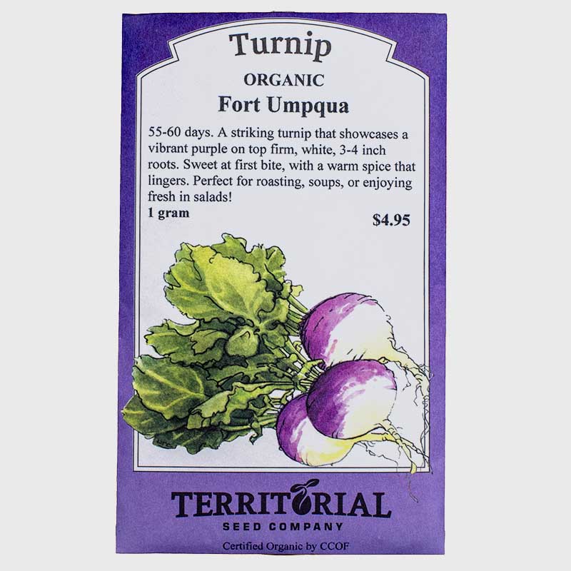 Turnip Fort Umpqua Seeds (Organic) Territorial Seed Company