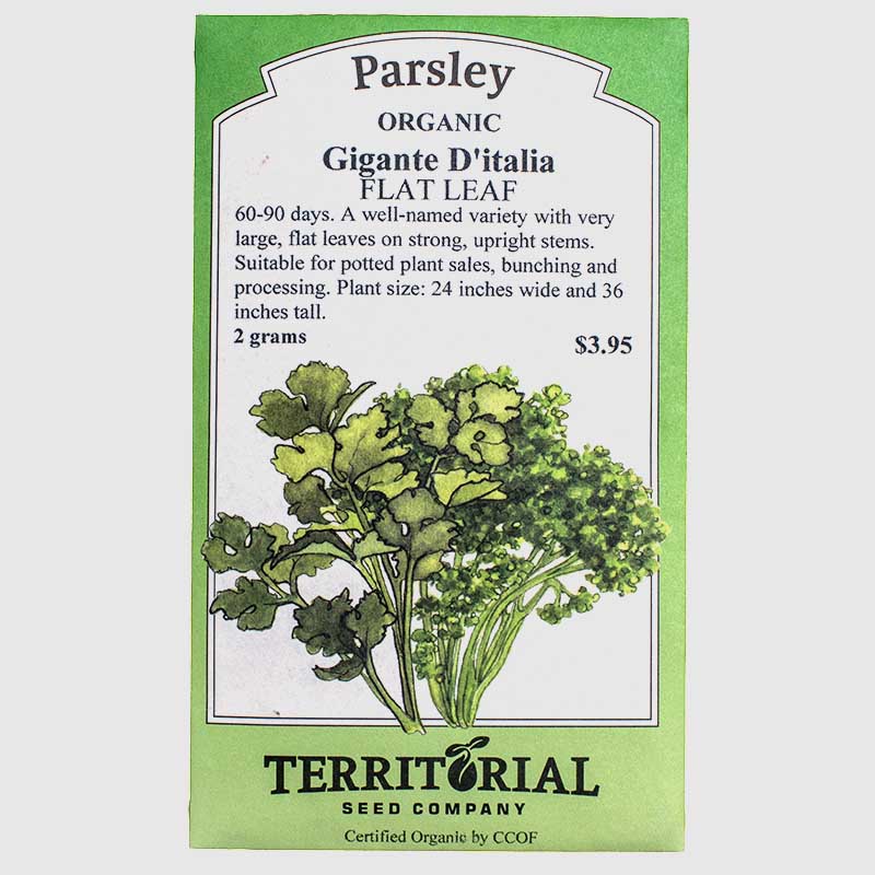 Parsley Gigante D'italia Seeds (Organic) Territorial Seed Company