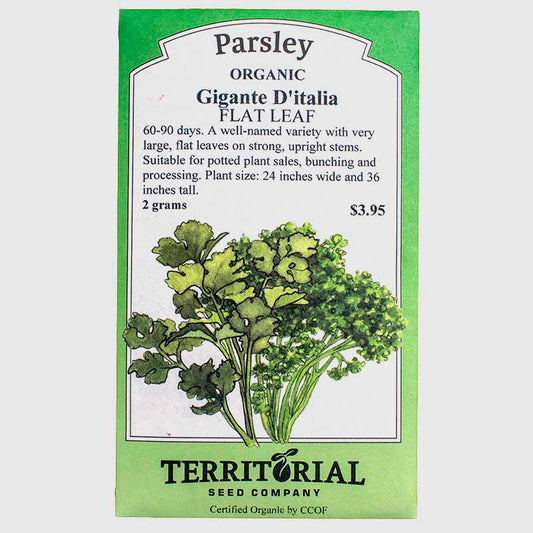 Parsley Gigante D'italia Seeds (Organic) Territorial Seed Company