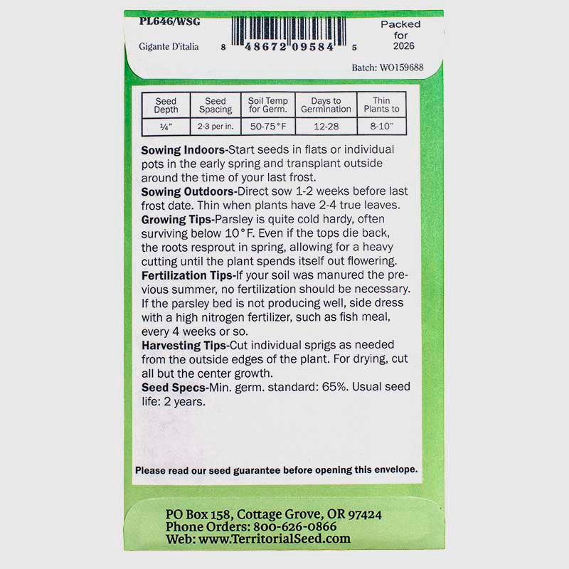 Parsley Gigante D'italia Seeds (Organic) Territorial Seed Company
