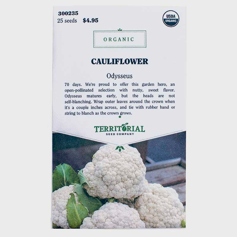 Cauliflower Odysseus Seeds (Organic) Territorial Seed Company