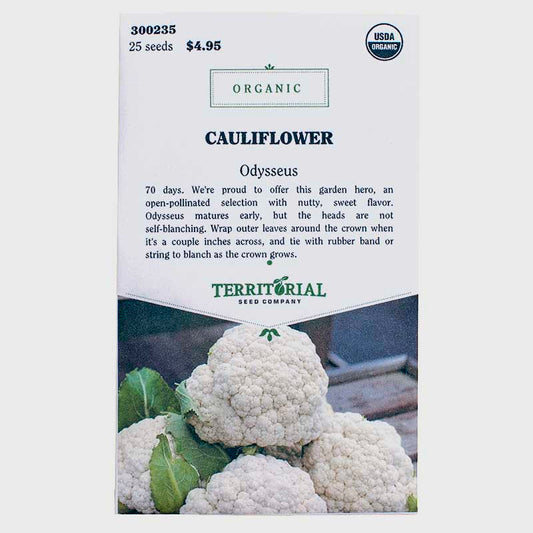 Cauliflower Odysseus Seeds (Organic) Territorial Seed Company