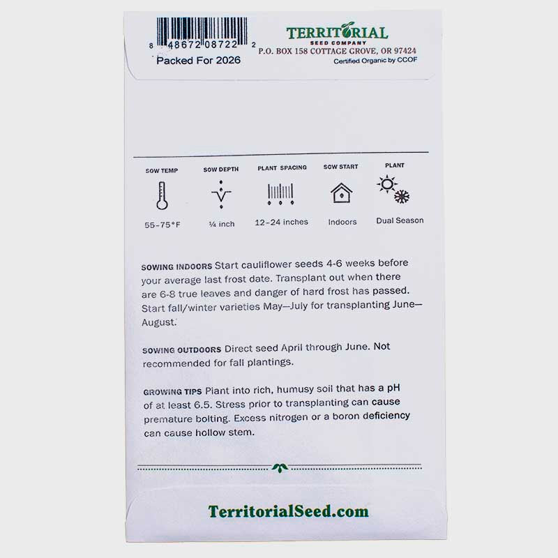 Cauliflower Odysseus Seeds (Organic) Territorial Seed Company