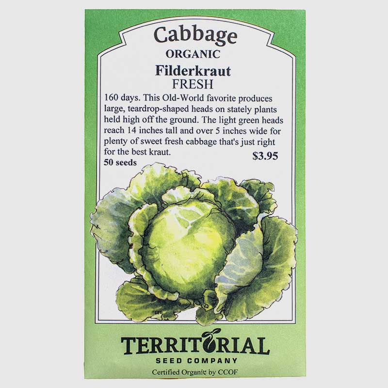 Filderkraut Cabbage Seeds (Organic) Territorial Seed Company