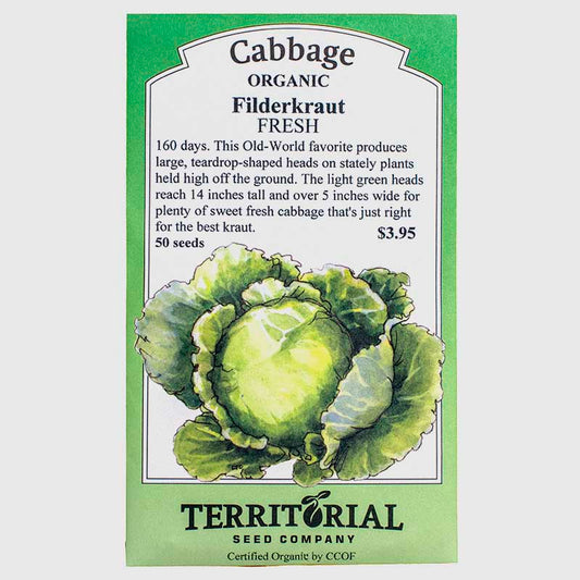 Filderkraut Cabbage Seeds (Organic) Territorial Seed Company