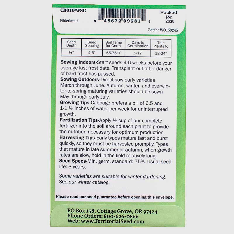 Filderkraut Cabbage Seeds (Organic) Territorial Seed Company