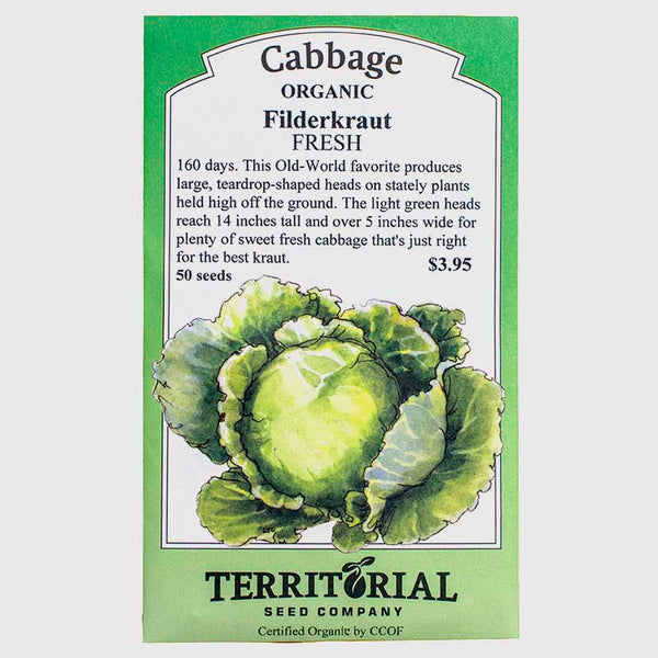cabbage flower seeds Filderkraut Cabbage Seeds (Organic)