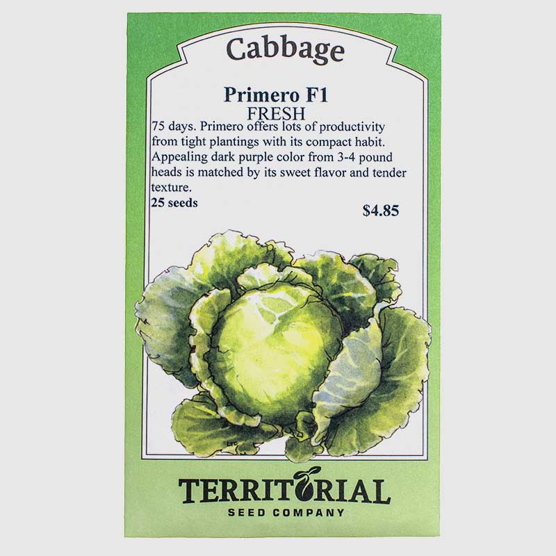 Primero Cabbage Seeds Territorial Seed Company