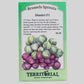 Dimitri Brussels Sprouts Seeds Territorial Seed Company