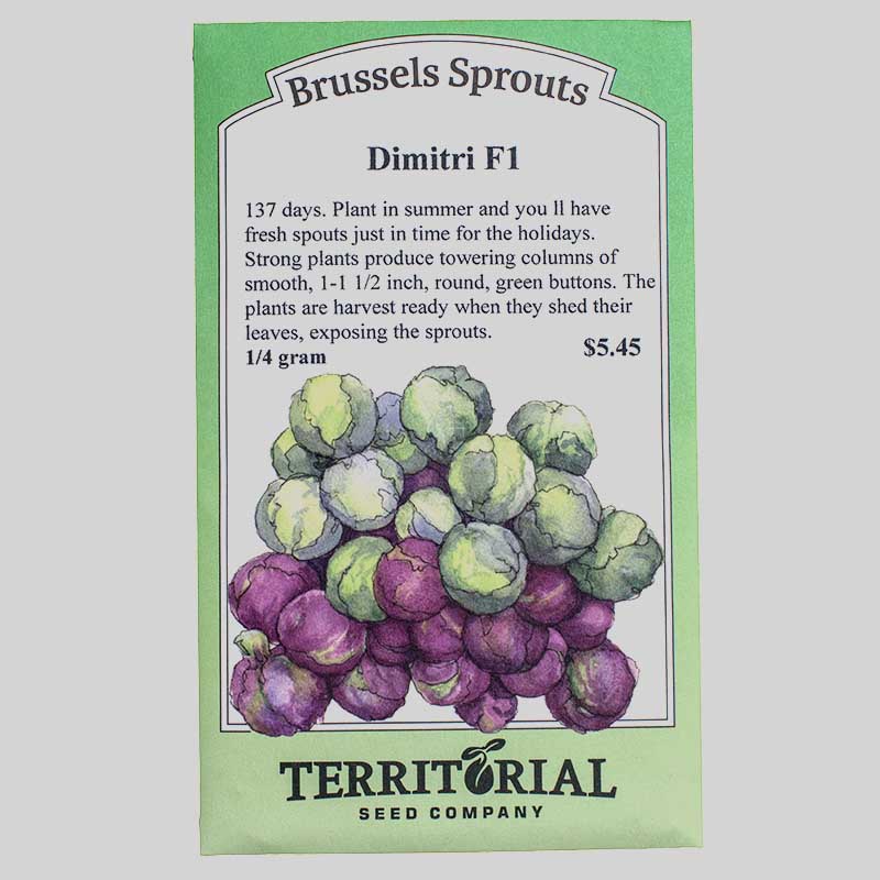 Dimitri Brussels Sprouts Seeds Territorial Seed Company