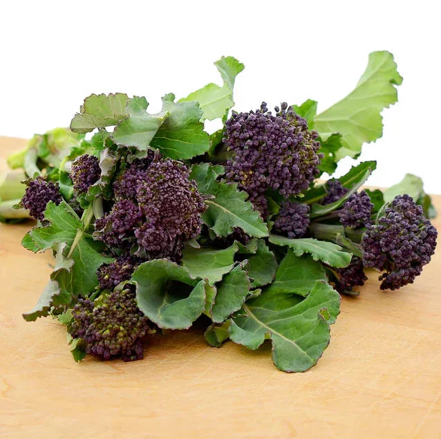 Broccoli Rudolph Seeds Territorial Seed Company