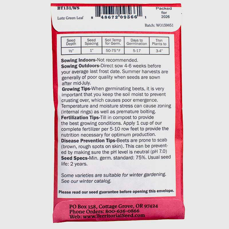 Beet Lutz Green Leaf  Seeds Territorial Seed Company