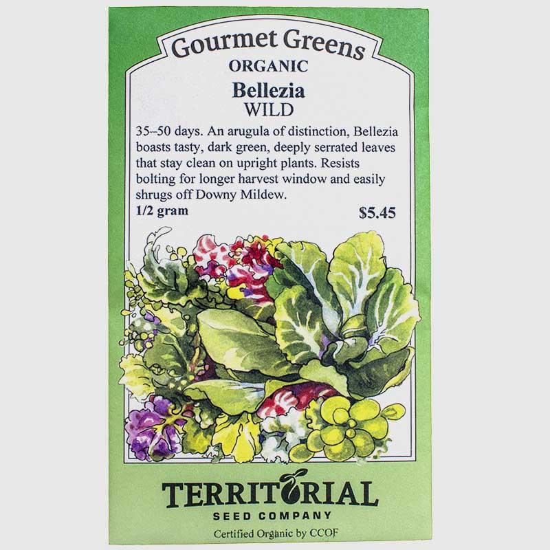 Arugula Bellezia Seeds (Organic) Territorial Seed Company